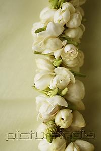 PictureIndia - jasmine flower garland closeup