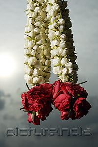 PictureIndia - Hanging rose flower garlands