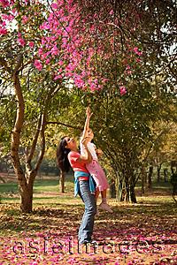 Asia Images Group - Mother lifting daughter up to tree