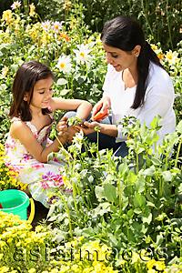Asia Images Group - Mother and daughter gardening