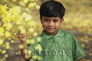 Asia Images Group - Little boy touching branch