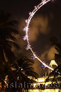 Asia Images Group - Night view of Singapore Flyer