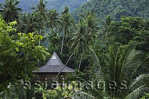 Asia Images Group - thatched house surrounded by tropical trees