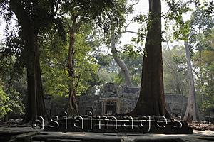 Asia Images Group - Ruins of Angkor Wat surrounded by trees