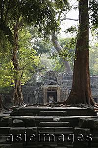 Asia Images Group - steps leading up to ruins of Angkor Wat