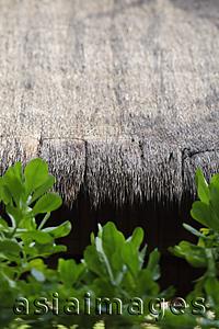Asia Images Group - cropped shot of thatched hut