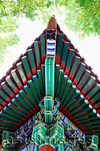 Asia Images Group - Tibetan Lama Temple or Yonghe Gong, roof detail