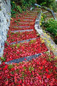Asia Images Group - Stone steps covered with red Autumn leaves. Miyajima Island, Omoto Park. Japan