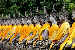 Asia Images Group - Stone Buddhas in a line at Wat Yai Chaya Mongkol Temple, Thailand