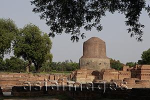 Asia Images Group - Dhamekh Stupa, site of Buddha's first sermon. Sarnath, India