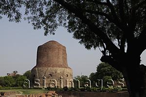 Asia Images Group - Dhamekh Stupa, site of Buddha's first sermon, Sarnath, India