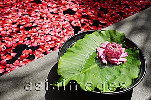 Asia Images Group - Flower sitting on petals and leaf at edge of tub filled with petals