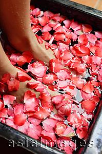 Asia Images Group - Womans feet in bowl of water filled with flower petals
