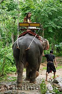 Asia Images Group - Female tourist riding an elephant, Phuket, Thailand