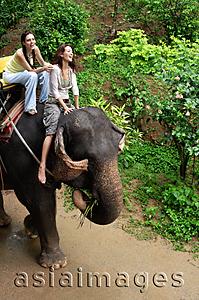 Asia Images Group - Young women riding an elephant in Phuket, Thailand