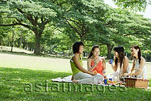 Asia Images Group - Young women picnicking in park