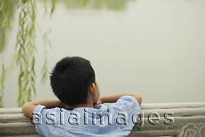 Asia Images Group - Rear view of young boy looking at a lake