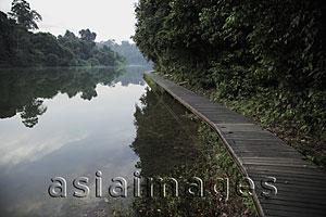 Asia Images Group - Wooden path along the edge of a lake surrounded by trees