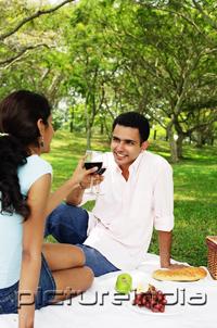 PictureIndia - Couple toasting with wine glasses, sitting on picnic blanket